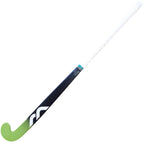 Genesis CF25i Indoor Stick
